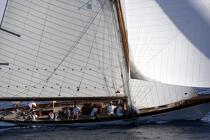 Classic Week 2005. © Philip Plisson / Plisson La Trinité / AA10480 - Photo Galleries - Classic Yachting