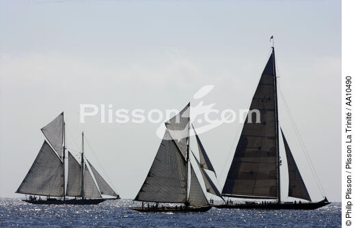 Classic Week 2005. - © Philip Plisson / Plisson La Trinité / AA10490 - Photo Galleries - Schooner [Yachting]
