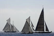 Classic Week 2005. © Philip Plisson / Plisson La Trinité / AA10490 - Photo Galleries - Schooner [Yachting]
