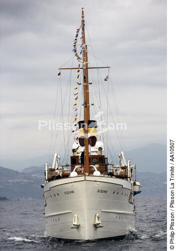 SS Delphine - Classic Week 2005. - © Philip Plisson / Plisson La Trinité / AA10507 - Nos reportages photos - Classic Week 2005