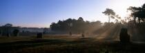 Alignments of Carnac in the early morning. © Guillaume Plisson / Plisson La Trinité / AA10533 - Photo Galleries - Blue sky