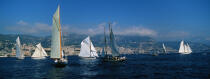 Classic Week 2005. © Philip Plisson / Plisson La Trinité / AA10535 - Photo Galleries - Monaco Classic Week 2011
