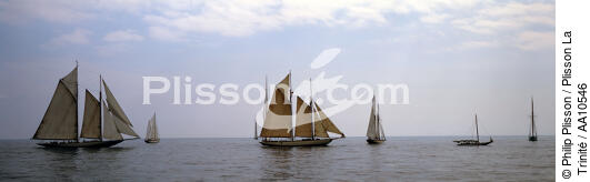 Classic Week 2005. - © Philip Plisson / Plisson La Trinité / AA10546 - Photo Galleries - Schooner [Yachting]