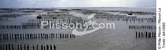 Aiguillon bay in the Vendée. - © Philip Plisson / Plisson La Trinité / AA10583 - Photo Galleries - Lighter used by mussel breeders