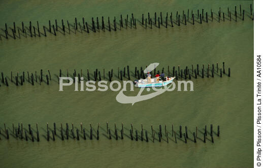 Mussel bed in Vendée. - © Philip Plisson / Plisson La Trinité / AA10584 - Photo Galleries - Aiguillon Bay [the]