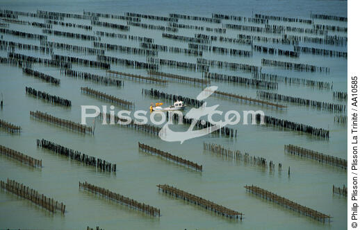 Mussel bed in Vendée. - © Philip Plisson / Plisson La Trinité / AA10585 - Photo Galleries - Lighter used by mussel breeders
