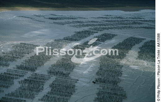 Mussel bed in Vendée. - © Philip Plisson / Plisson La Trinité / AA10588 - Photo Galleries - Lighter used by mussel breeders