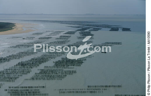Mussel bed in Vendée. - © Philip Plisson / Plisson La Trinité / AA10590 - Photo Galleries - Shellfish farming
