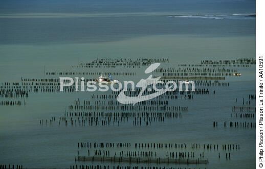 Mussel bed in Vendée. - © Philip Plisson / Plisson La Trinité / AA10591 - Photo Galleries - Lighter used by mussel breeders