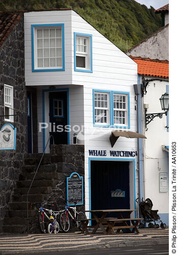 On Pico Island in the Azores. - © Philip Plisson / Plisson La Trinité / AA10653 - Photo Galleries - Cycling