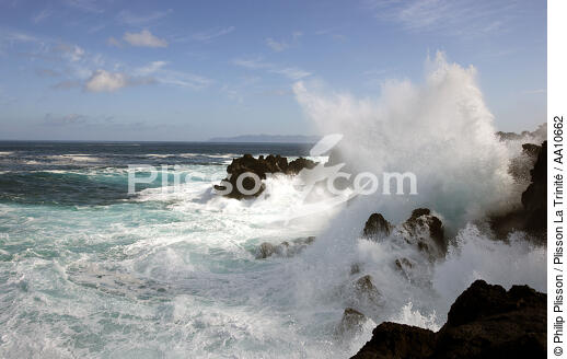 Côte de l' île Pico aux Açores. - © Philip Plisson / Plisson La Trinité / AA10662 - Nos reportages photos - Ile [Por]