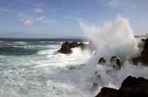 Côte de l' île Pico aux Açores. © Philip Plisson / Plisson La Trinité / AA10662 - Nos reportages photos - Ile [Por]