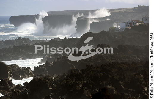 Wild coast of Pico island in the Azores. - © Philip Plisson / Plisson La Trinité / AA10663 - Photo Galleries - Island [Por]