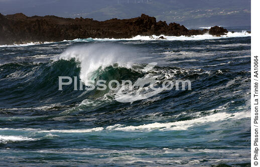 Wild coast of Pico island in the Azores. - © Philip Plisson / Plisson La Trinité / AA10664 - Photo Galleries - Pico