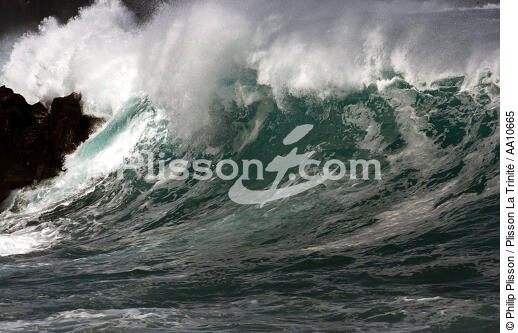Côte de l' île Pico aux Açores. - © Philip Plisson / Plisson La Trinité / AA10665 - Nos reportages photos - Ile [Por]