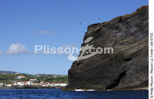 Cliff in the Azores. - © Philip Plisson / Plisson La Trinité / AA10703 - Photo Galleries - Faial