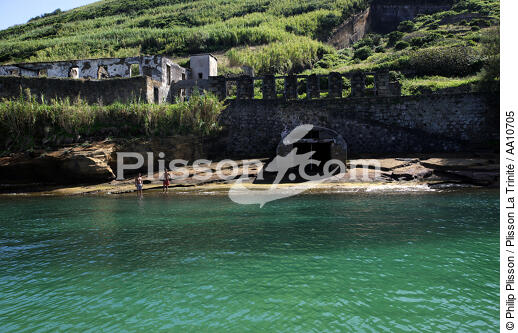 Paysage littoral d' Horta aux Açores. - © Philip Plisson / Plisson La Trinité / AA10705 - Nos reportages photos - Faial