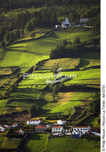 Countryside on Faial in the Azores. - © Philip Plisson / Plisson La Trinité / AA10751 - Photo Galleries - Pasture