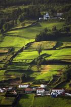 Countryside on Faial in the Azores. © Philip Plisson / Pêcheur d’Images / AA10751 - Photo Galleries - Azores [The]
