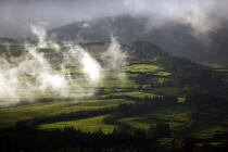 Vue sur la campagne de l'île Faial aux Açores. © Philip Plisson / Plisson La Trinité / AA10773 - Nos reportages photos - Paysage intérieur