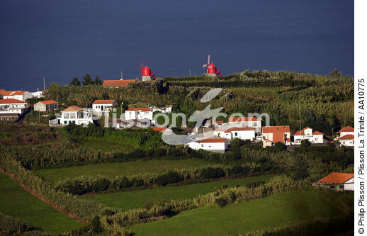 Vue sur la campagne de l'île Faial aux Açores. - © Philip Plisson / Plisson La Trinité / AA10775 - Nos reportages photos - Portugal