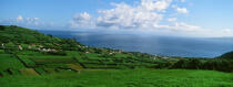 Faial Island in the Azores. © Philip Plisson / Plisson La Trinité / AA10797 - Photo Galleries - Town