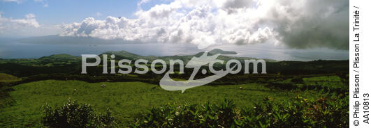 Faial Island in the Azores. - © Philip Plisson / Plisson La Trinité / AA10813 - Photo Galleries - Plant
