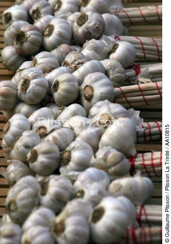 Garlic. - © Guillaume Plisson / Plisson La Trinité / AA10815 - Photo Galleries - Vegetable