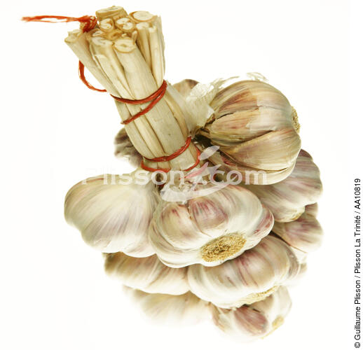 Garlic. - © Guillaume Plisson / Plisson La Trinité / AA10819 - Photo Galleries - Garlic