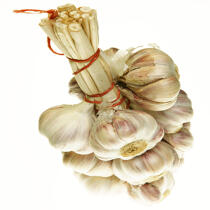 Garlic. © Guillaume Plisson / Plisson La Trinité / AA10819 - Photo Galleries - Square format