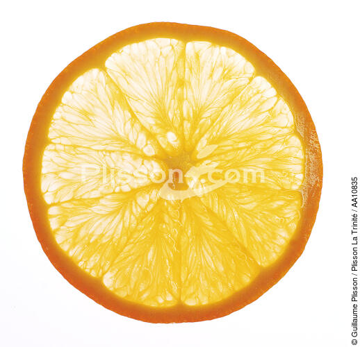 Tranche d'orange. - © Guillaume Plisson / Plisson La Trinité / AA10835 - Nos reportages photos - Flore
