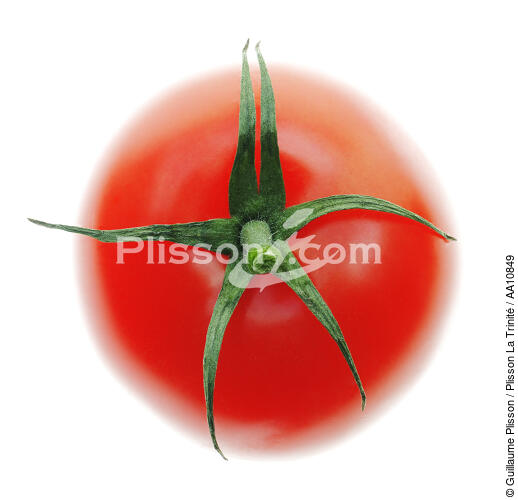 Tomato. - © Guillaume Plisson / Plisson La Trinité / AA10849 - Photo Galleries - Tomato