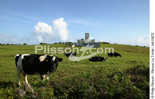 The lighthouse of the point of Ribeirinha on Faial in the Azores. - © Philip Plisson / Plisson La Trinité / AA10872 - Photo Galleries - Azores [The]