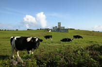 Le phare de la pointe de Ribeirinha sur Faial aux Açores. © Philip Plisson / Plisson La Trinité / AA10872 - Nos reportages photos - Mammifère