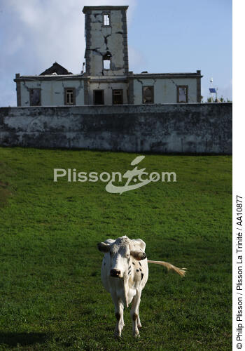 The lighthouse of the point of Ribeirinha on Faial in the Azores. - © Philip Plisson / Plisson La Trinité / AA10877 - Photo Galleries - Cow