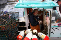 Pêcheur dans le port de Camden dans l'Etat du Maine. © Philip Plisson / Plisson La Trinité / AA10896 - Nos reportages photos - Nouvelle Angleterre