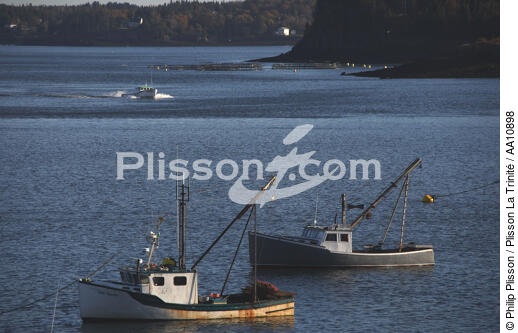Fishing vessels on the coast of Lubec in the State of Maine. - © Philip Plisson / Plisson La Trinité / AA10898 - Photo Galleries - United States [The]