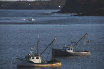 Bateaux de pêche sur la côte de la ville de Lubec dans l'Etat du Maine. © Philip Plisson / Plisson La Trinité / AA10898 - Nos reportages photos - Lubec