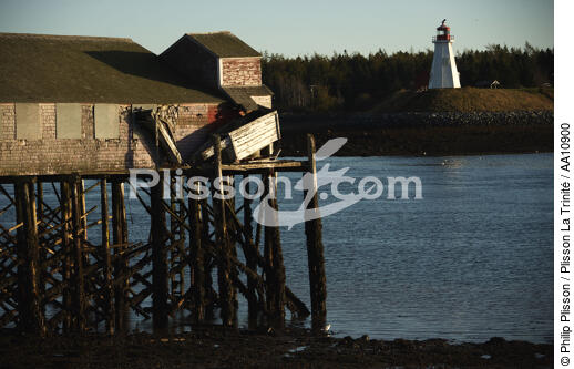 Canadian lighthouse view from Lubec in the State of Maine. - © Philip Plisson / Plisson La Trinité / AA10900 - Photo Galleries - Calm sea