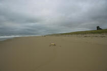 Sur une plage du Massachusetts. © Philip Plisson / Plisson La Trinité / AA10942 - Nos reportages photos - Ciel gris