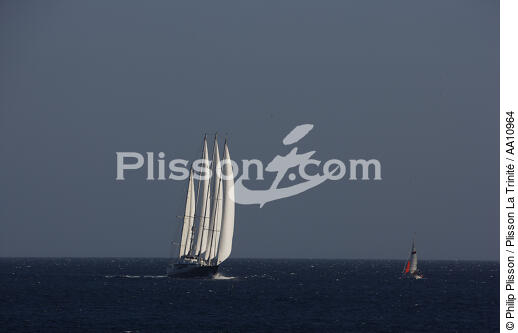 Le Phocéa. - © Philip Plisson / Plisson La Trinité / AA10964 - Nos reportages photos - Grand voilier