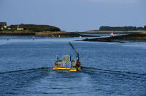 Oyster pontoon on the Aber-Wrac' h. © Philip Plisson / Plisson La Trinité / AA11077 - Photo Galleries - Oyster Farming