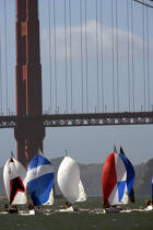 Regatta under the Golden Gate bridge. © Philip Plisson / Plisson La Trinité / AA11130 - Photo Galleries - Bridge