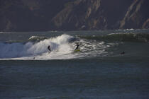 Surfeurs sous le Golden Gate. © Philip Plisson / Plisson La Trinité / AA11141 - Nos reportages photos - Etats-Unis