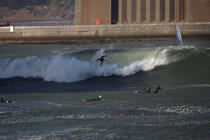 Surfeurs sous le Golden Gate. © Philip Plisson / Plisson La Trinité / AA11142 - Nos reportages photos - Etats-Unis