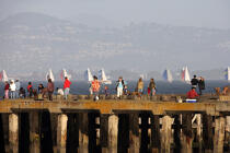 Régate en baie de San Francisco. © Philip Plisson / Plisson La Trinité / AA11149 - Nos reportages photos - Flotte