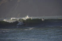 Surf sous le Golden Gate. © Philip Plisson / Plisson La Trinité / AA11150 - Nos reportages photos - Vague