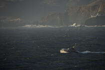 Punta Bonita in California. © Philip Plisson / Plisson La Trinité / AA11152 - Photo Galleries - Storm at sea