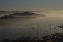 Sausalito in the San Francisco bay. © Philip Plisson / Plisson La Trinité / AA11202 - Photo Galleries - Mist