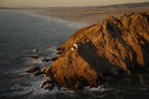 Point Reyes in California. © Philip Plisson / Plisson La Trinité / AA11219 - Photo Galleries - Point Reyes